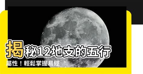 地支 五行屬性|【12地支 五行】揭秘12地支的五行屬性！輕鬆掌握易。